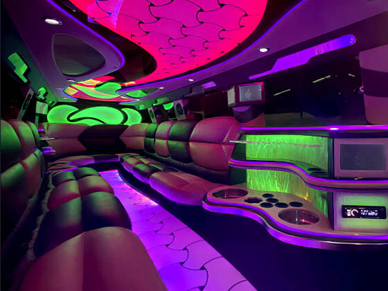 fiber optic lights