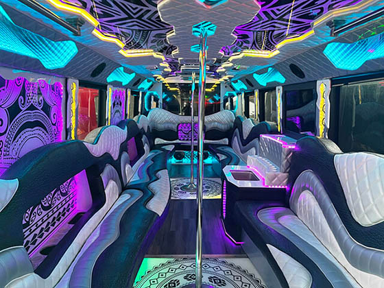 tribe bus