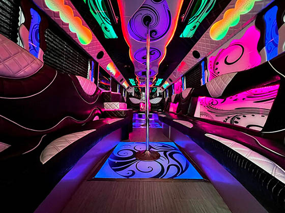 chicago vision bus