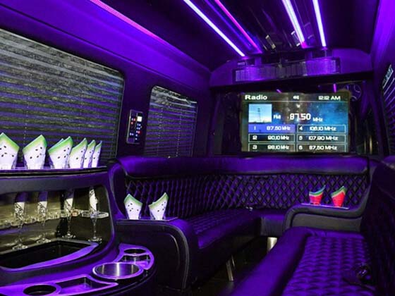 Chicago sprinter van rentals