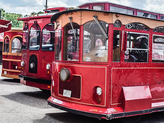 Chicago trolleys