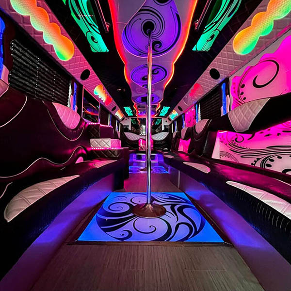 arlington heights limo bus interior